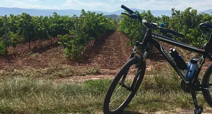 El Observador | 1543182329159.webp