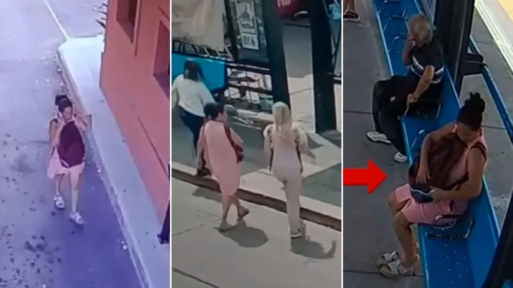 Las cámaras de seguridad que muestra a la empleada doméstica Rosalía Paniagua, acusada de asesinar al ingeniero Roberto Wolfenson en un country de Pilar