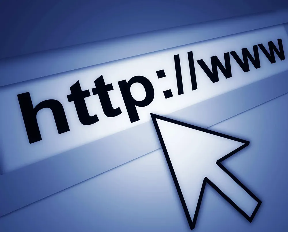 0000386113.webp