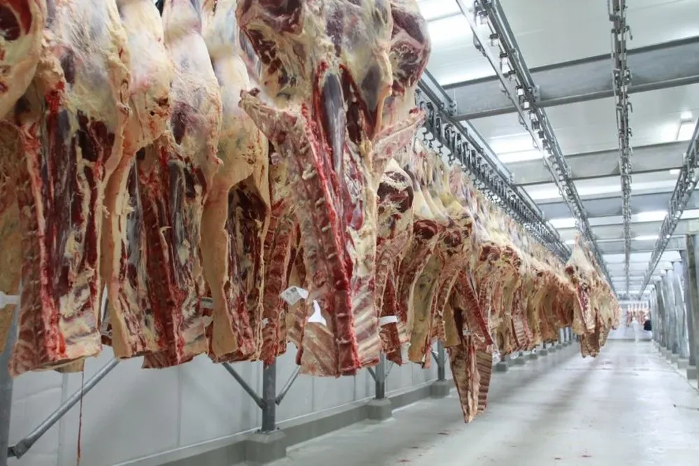 El 47% del volumen de carne exportada por Uruguay tiene como destino al mercado asiático 