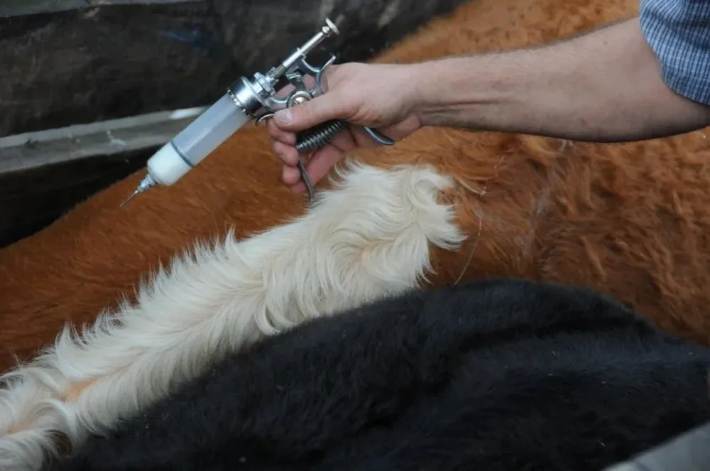 Aconsejan retirar vacunas con elementos que permitan conservar la cadena de frío