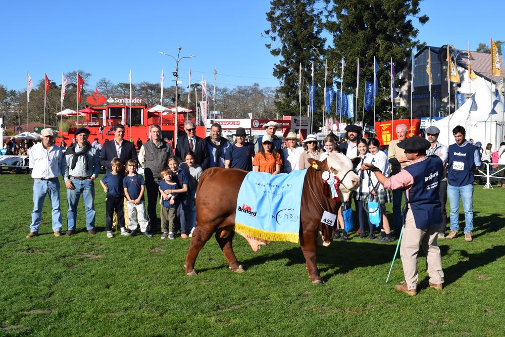 Rural del Prado: Gran Campeón Braford.