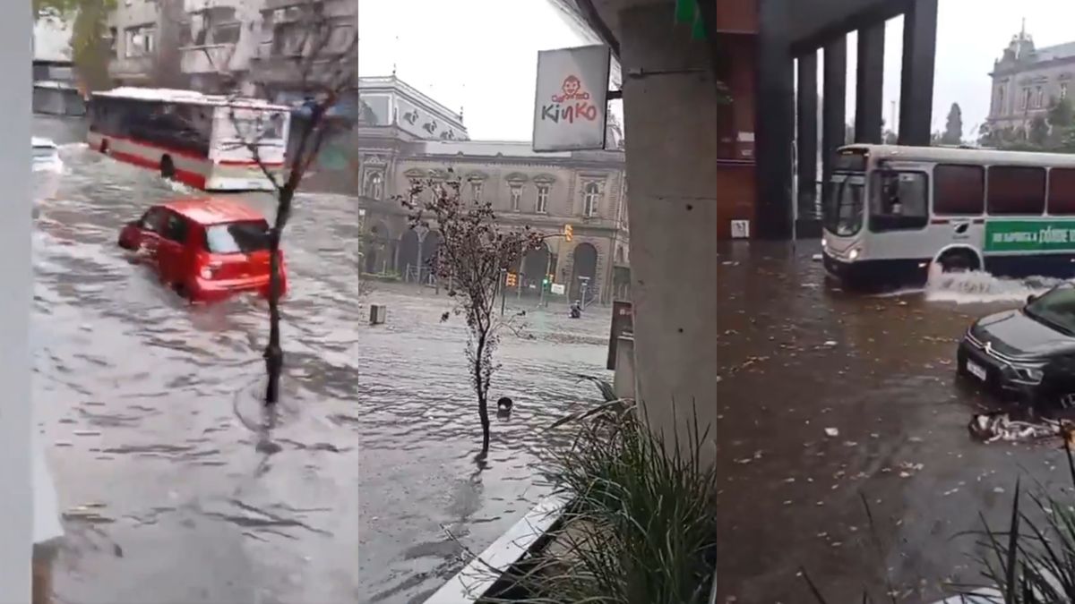 Los videos del temporal del fin de semana en Montevideo: inundaciones, calles cortadas y autos flotando