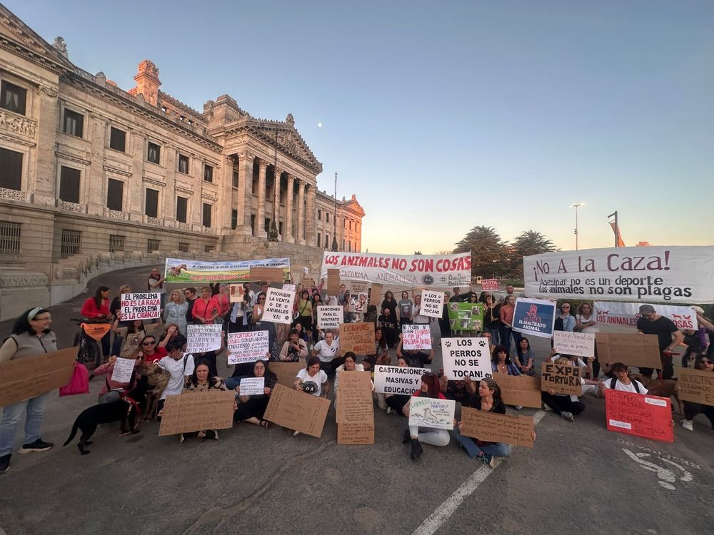 Animalistas protestaron frente al Parlamento