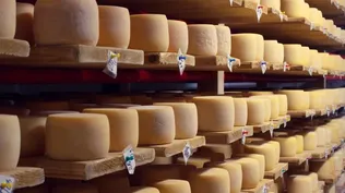 Quesos uruguayos ingresaron este viernes con normalidad a Brasil