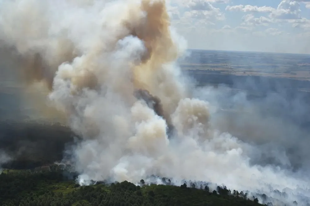 En verano hay cerca de 1.200 incendios forestales según datos de la Sociedad de Productores Forestales.
