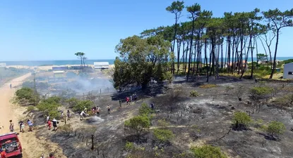 empieza el calor y aumenta el riesgo: ¿que hacer para prevenir incendios?