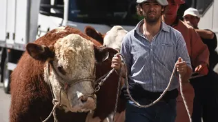 Arrancó la fiesta del campo y la ciudad.