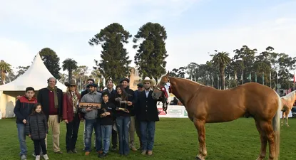 El Observador | _LCM8482.webp