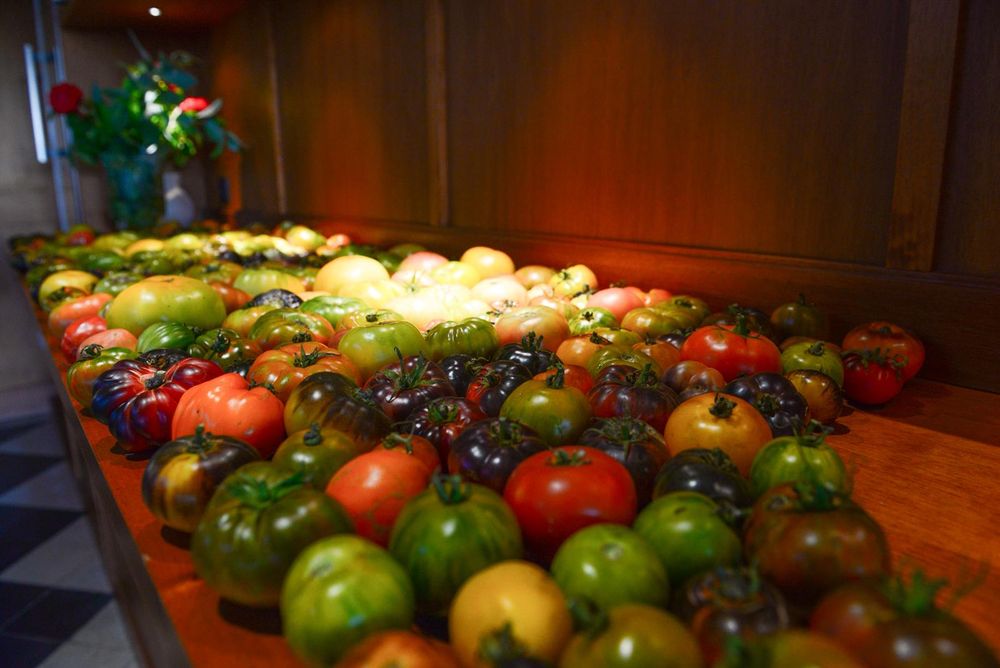NO USAR Fiesta del Tomate