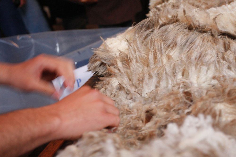 El mercado busca afirmarse, pero está muy volátil