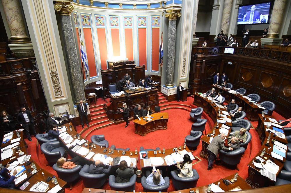 WhatsApp Image 2025-10-15 at 16.28.00