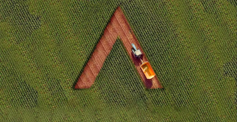 El desarrollo sostenible avanza en la agenda de las instituciones financieras.