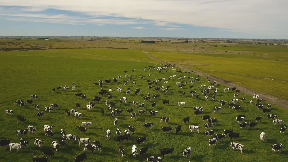 Pasó un 2021 con varios registros récord en el sector lechero.