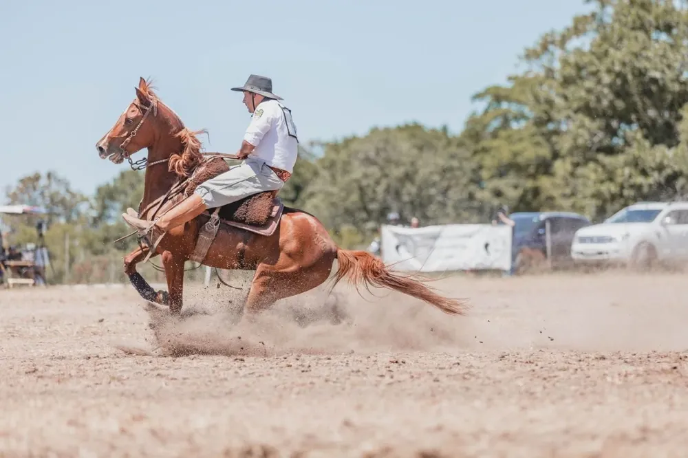 En 2022 la Sociedad de Criadores de Caballos Árabes hará el segundo concurso de domadores de caballos de la raza.