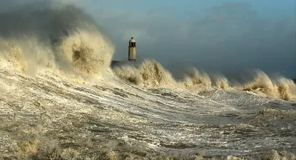 El Observador | 0003936705.webp