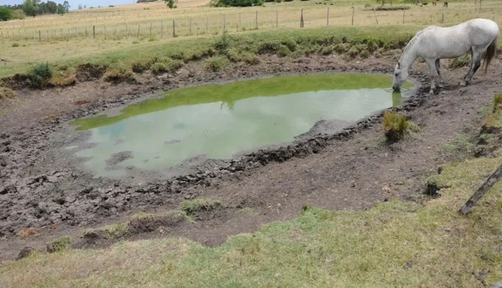 Las aguadas con menos caudal de agua