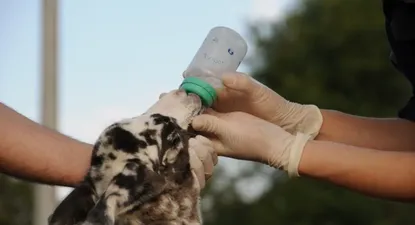 El Observador | 0000355787.webp