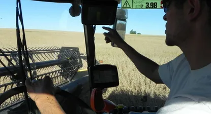 Cultivos de verano: la cosecha está demorada, a la espera de días secos, y eso preocupa a los productores.