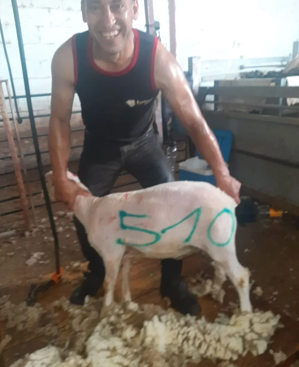 Helder Canto mejoró su récord de esquila.