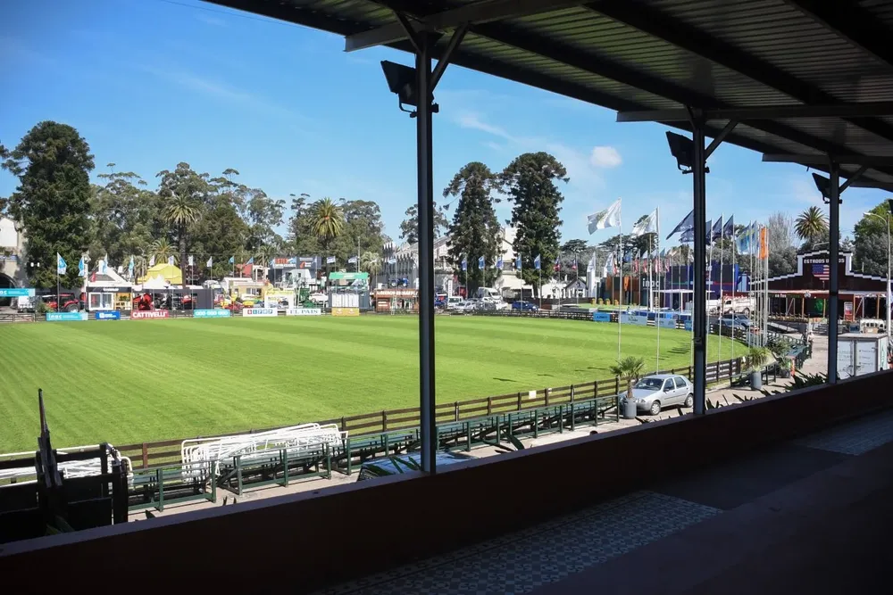 El ruedo, bien verde.