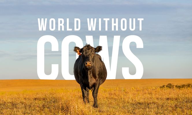 Agro en Punta tendrá entre sus propuestas destacadas el lanzamiento de un documental de alto valor.