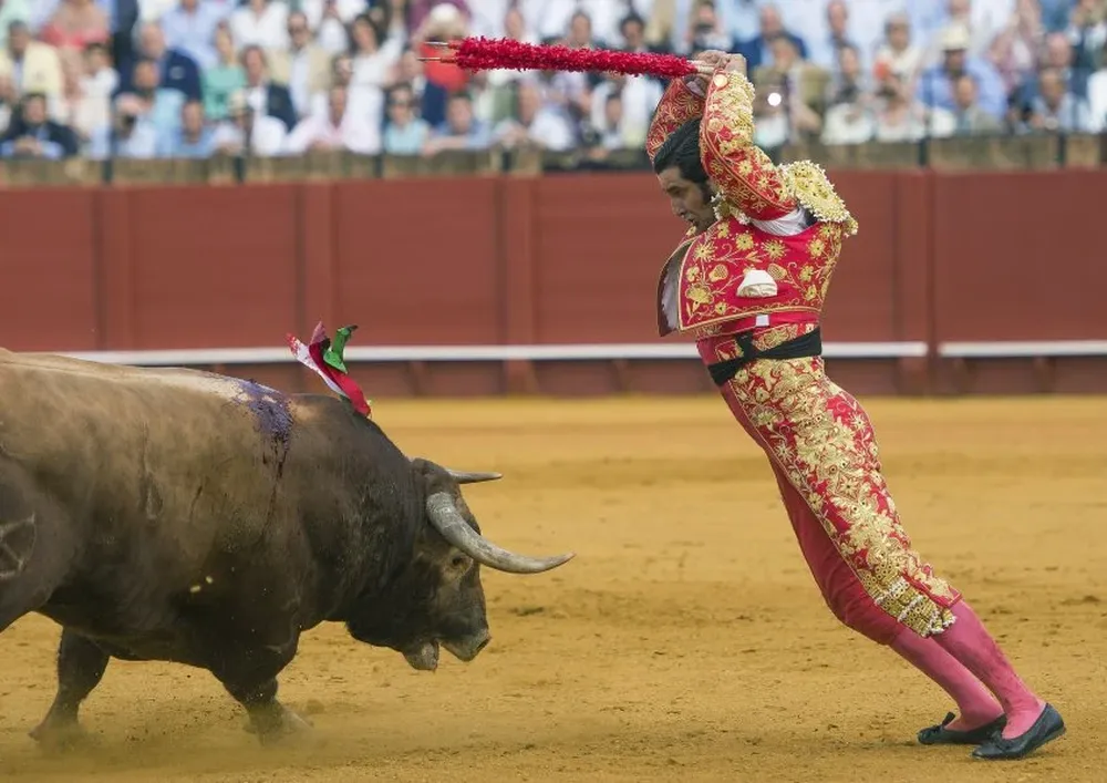 Un torero con su segundo toro de la tarde en la undécima corrida de abono de la Maestranza de Sevilla.
