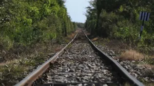 UPM firma contrato de servicios de transporte ferroviario para su segunda planta