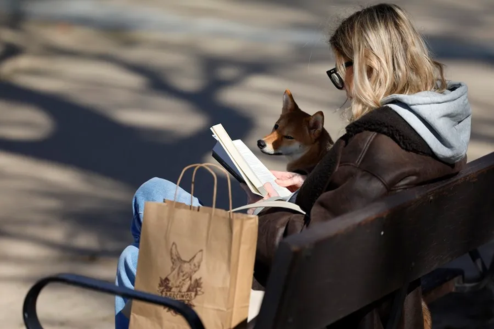 Los lectores superan por primera vez en España el 65 % de la población