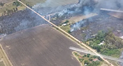 El incendio tiene lugar en ruta 81, km 7