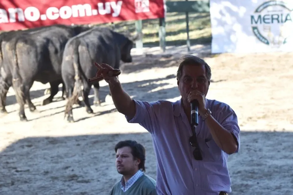 Remató Gerardo Zambrano