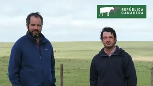 Justicia decretó la liquidación de República Ganadera y se rematarán los bienes de la empresa Justicia decretó la liquidación de República Ganadera y se rematarán los bienes de la empresa