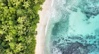 COP 26: ¿12 días que marcarán nuestro destino?