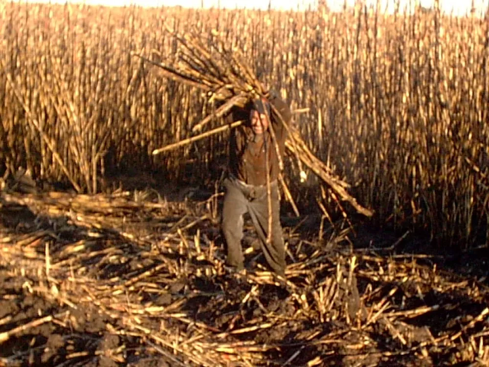 Cañeros denuncian situación de explotación