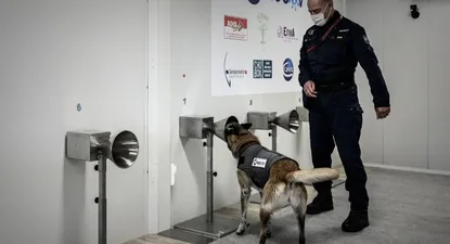 francia: asi detectan el covid-19 los perros a traves del sudor