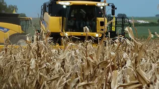 Índice Líder de Ceres aumentó por tercer mes consecutivo
