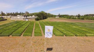 Inase, área propia de ensayos de variedades vegetales.