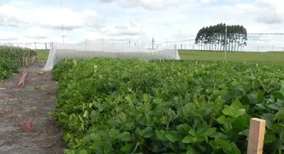 El Observador | Así están los semilleros en el área de la estática