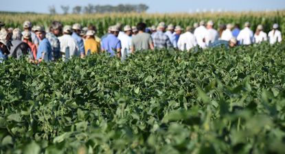 El Observador | DSC_0032