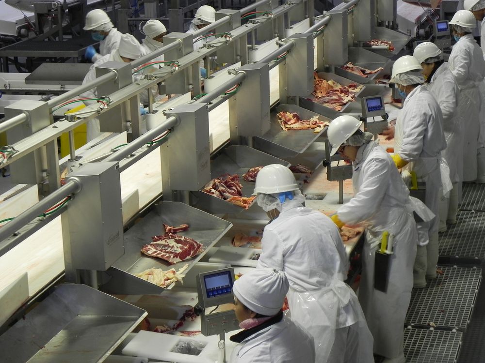 Carnes: las exportaciones desde Uruguay siguen realizándose de buen modo.