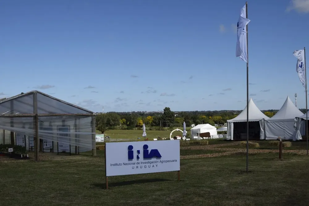 El INIA espera por alguna señal del Poder Ejecutivo