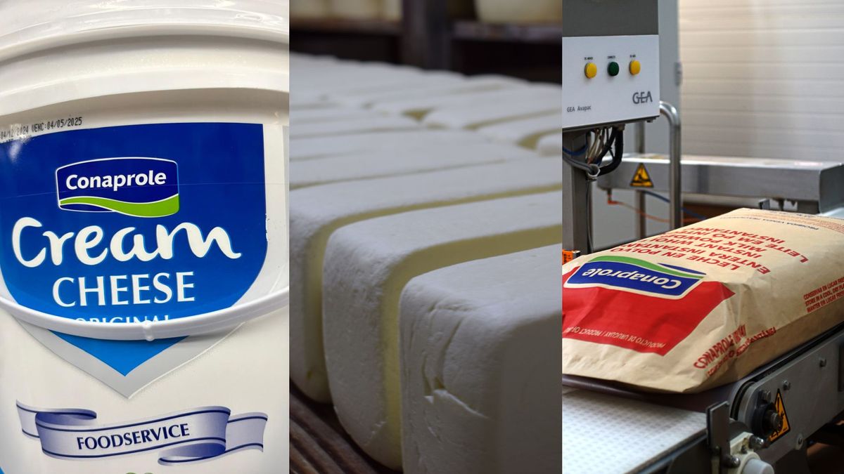 Ingresos por exportaciones de lácteos con crecimiento en tres de los cuatro productos embarcados