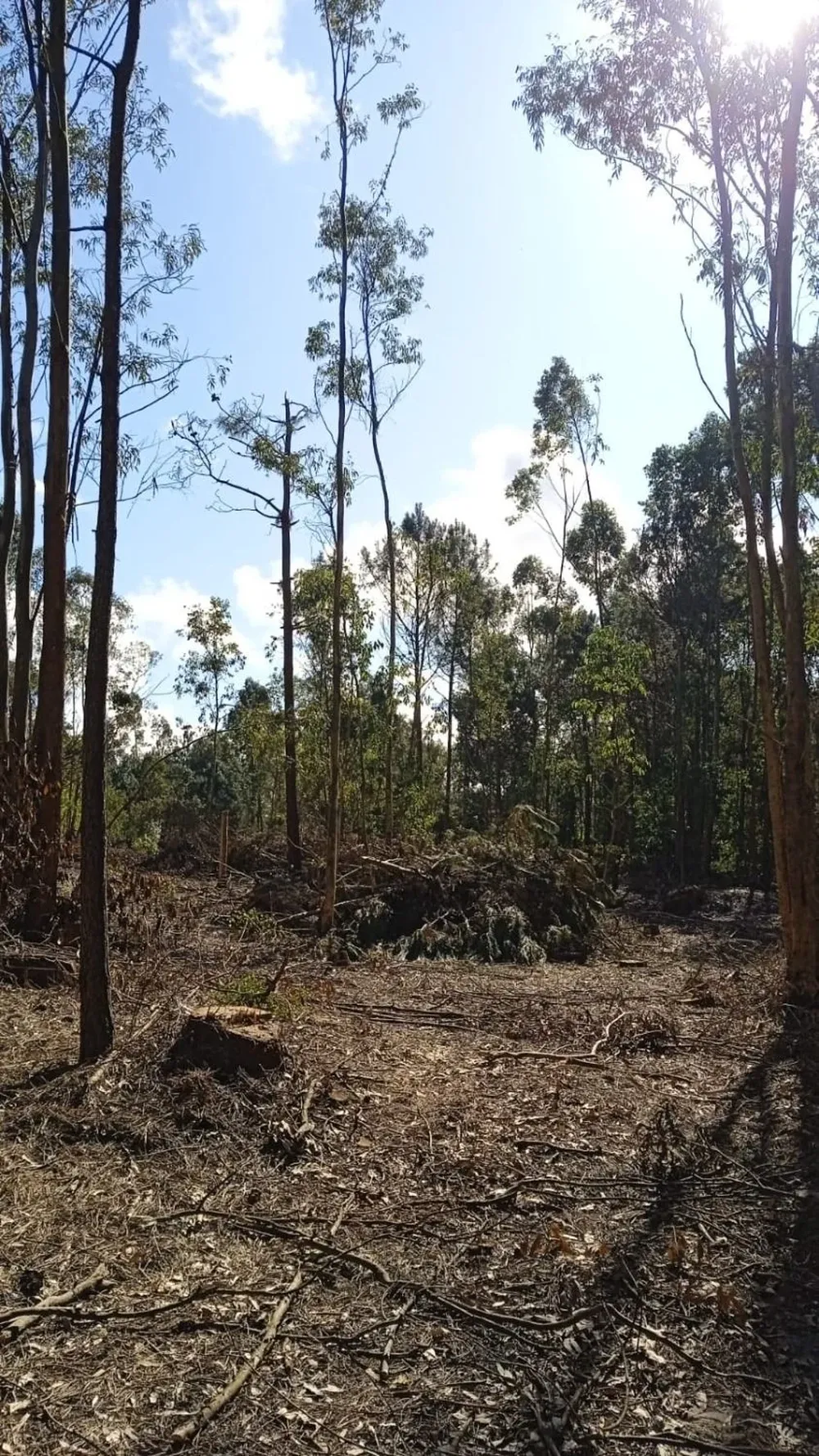 Los vecinos también apuntaron a que Guazuvirá ocupa el primer lugar en la lista de localidades con la mayor cantidad de especies prioritarias para la conservación.