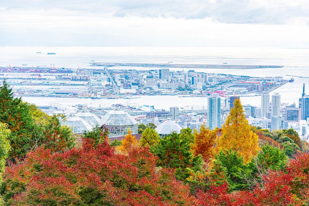 Grandes urbes japonesas como la portuaria Kobe están rodeados por densos bosques.