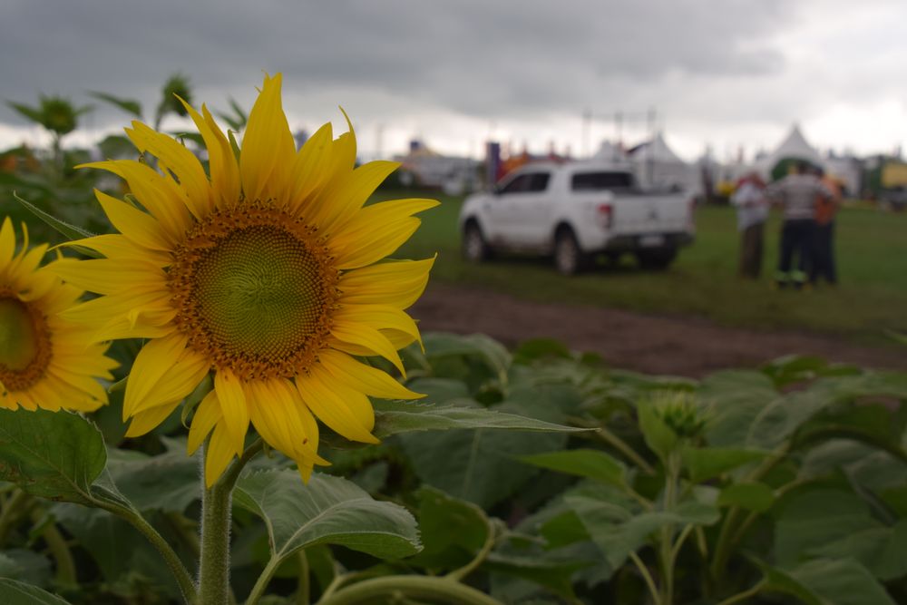 Expoactiva Nacional 2026: se hará del 18 al 21 de marzo con algo más de 350 empresas expositoras.