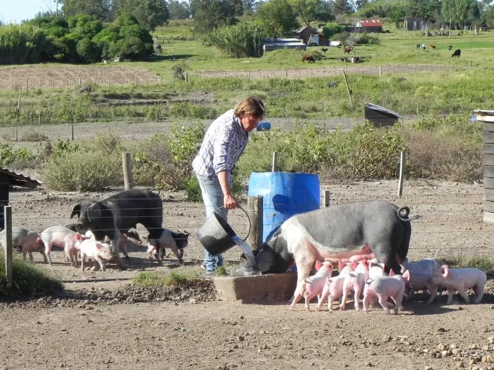 La CNFR nuclea básicamente a productores de escala familiar.