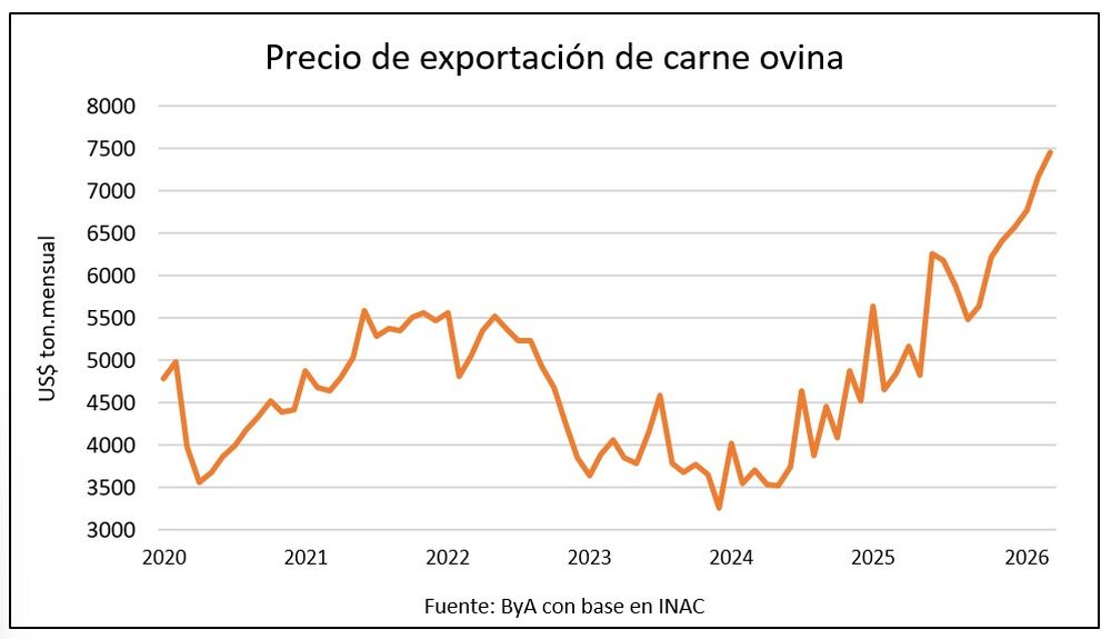 Carne ovina sigue con valores en alza.