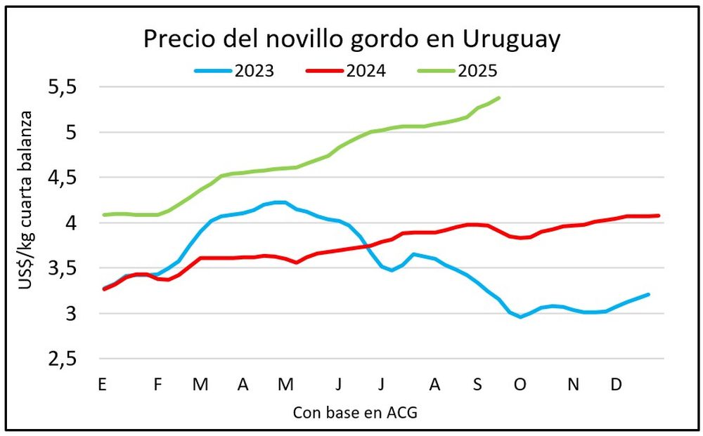 Novillos: se acumulan varias semanas con el precio muy favorable para el productor ganadero.