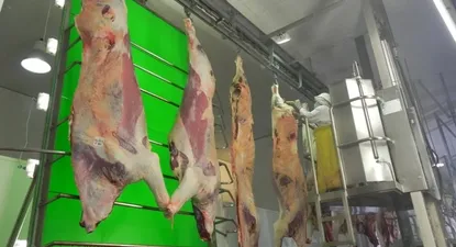Exportaciones de carnes uruguayas: la de vacuno manda y por goleada.