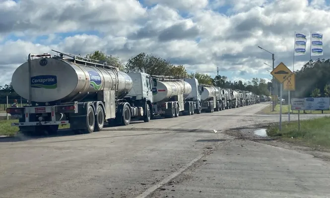 Camiones en espera esta mañana en la planta de Rodríguez.